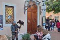 Falconeria